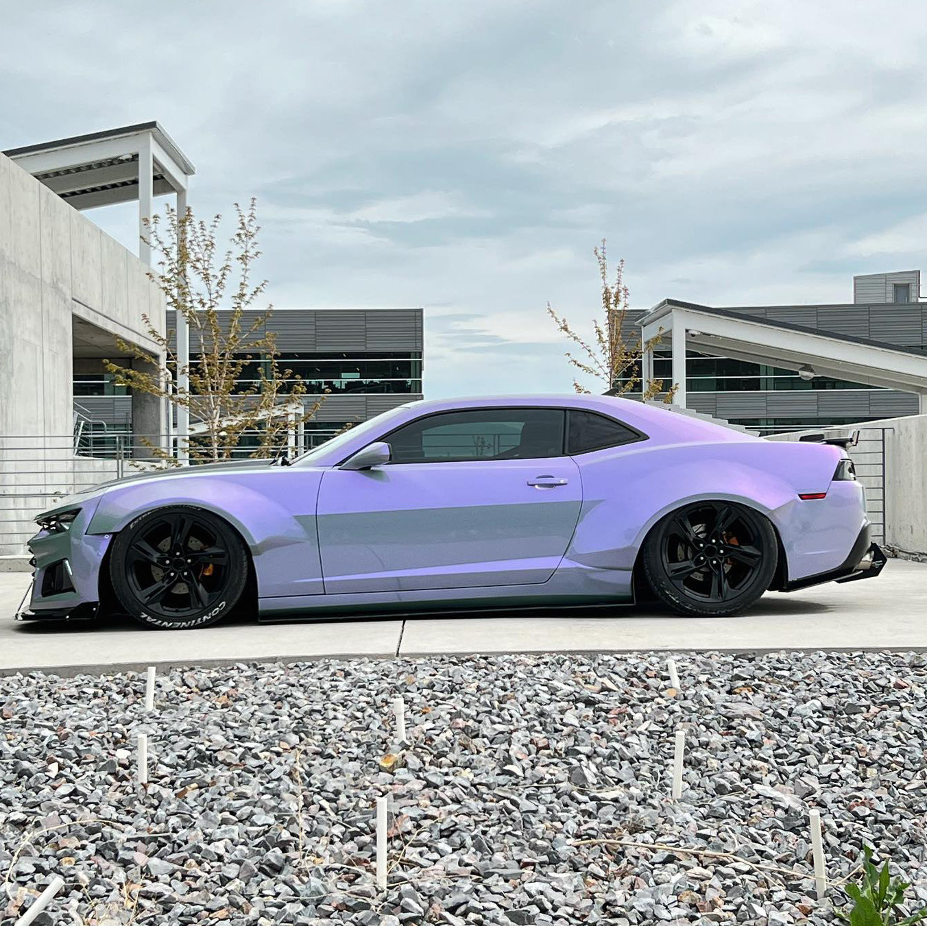 Pearlescent Gray Purple